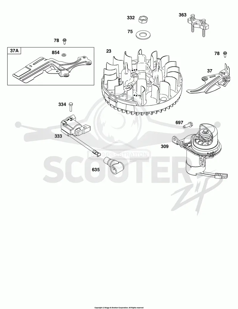 Flywheel, Ignition, and Starter Group