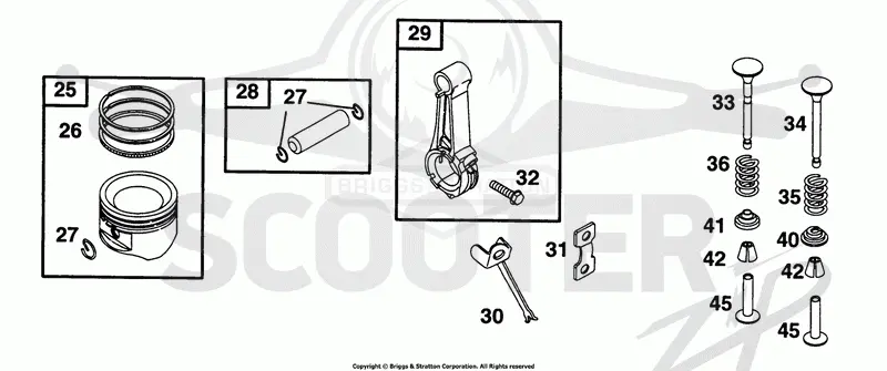 Piston Grp