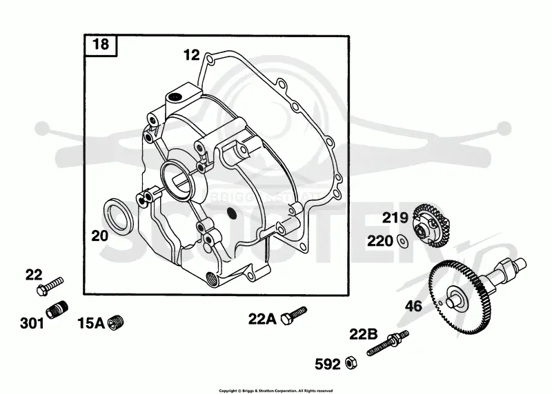 Crankcase Cover, Cam