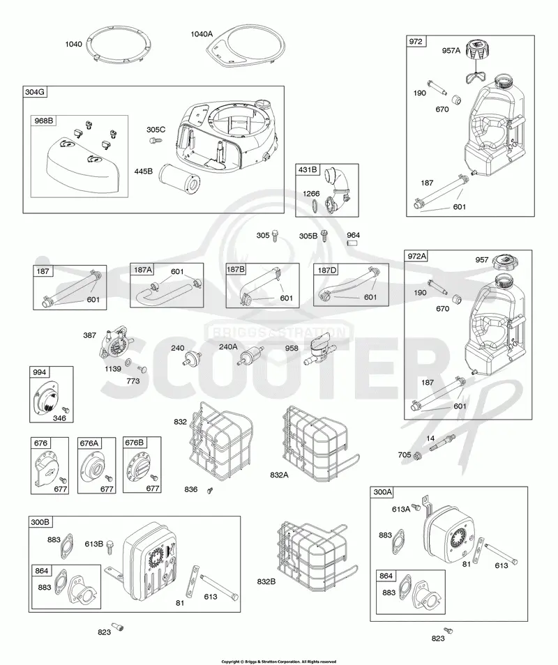 Air Cleaner, Blower Housing, Exhaust System, Fuel Supply