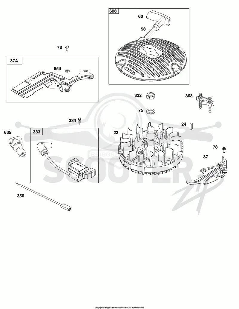 Flywheel, Ignition,and Starter Group