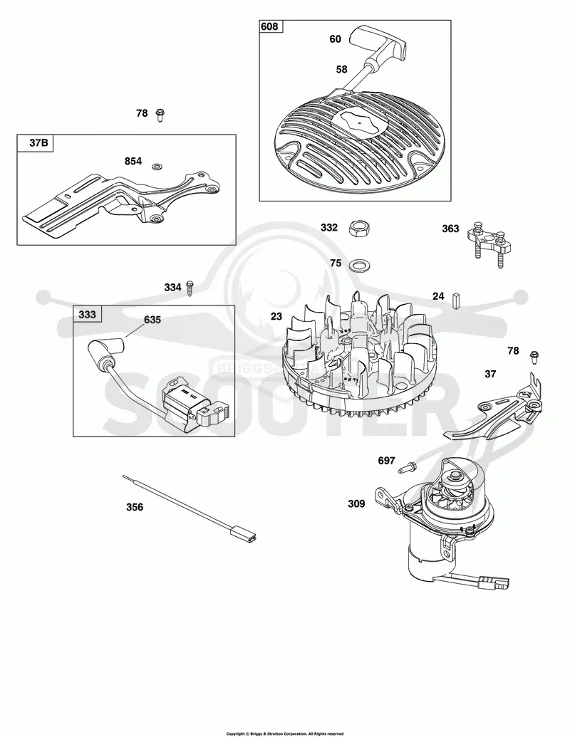 Flywheel, Ignition,and Starter Group