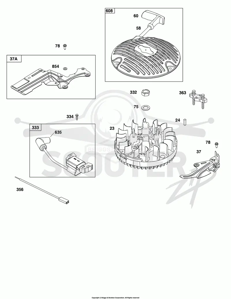 Flywheel, Ignition,and Starter Group
