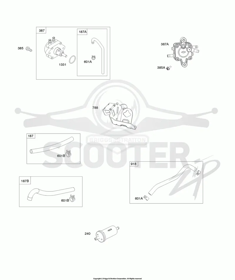 Fuel Pump, Fuel Hoses, Fuel Filter