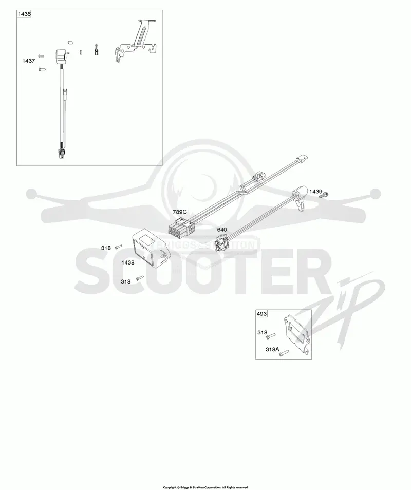ECU Module
