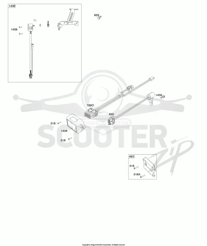 ECU Module
