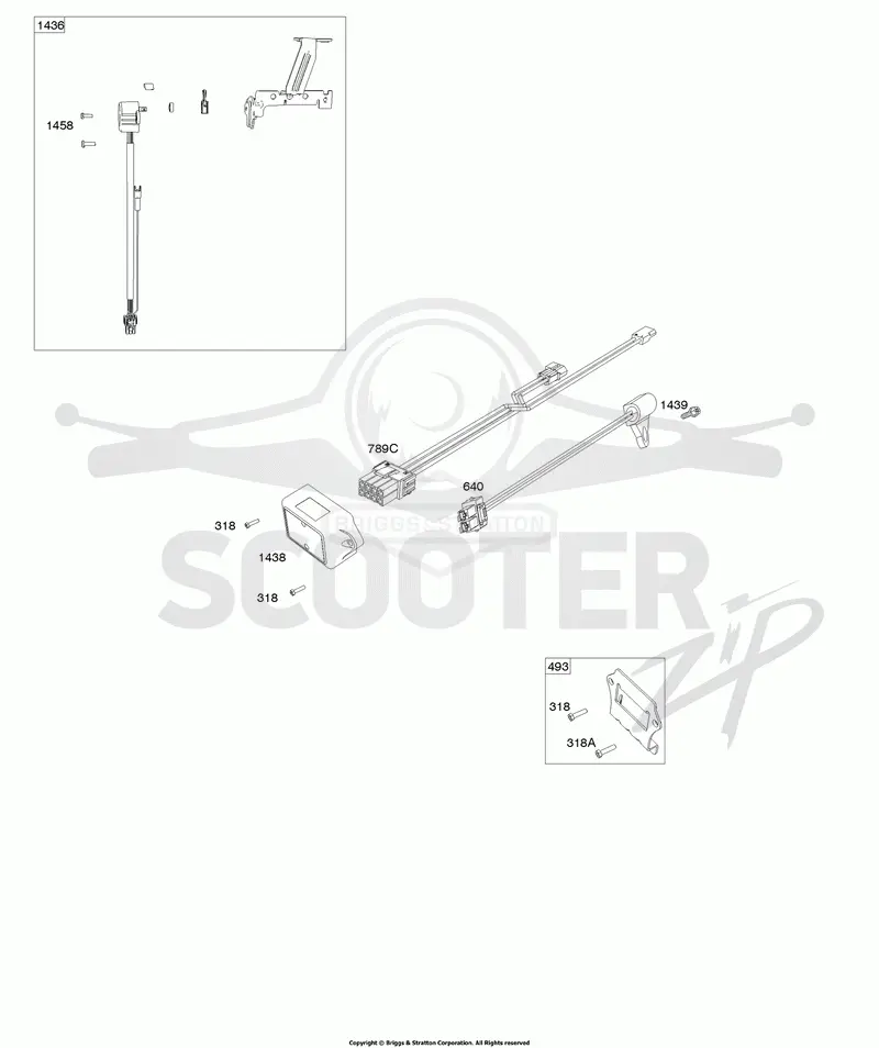 ECU Module