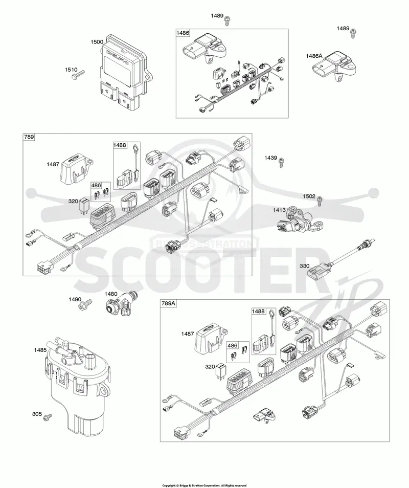 Wire Harness, Electronic Control Module