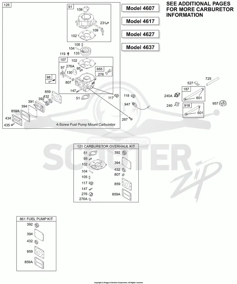 Carburetor 1, Kit/Gasket Sets - Carburetor 1, Kit/Gasket Sets - Fuel Pump 1