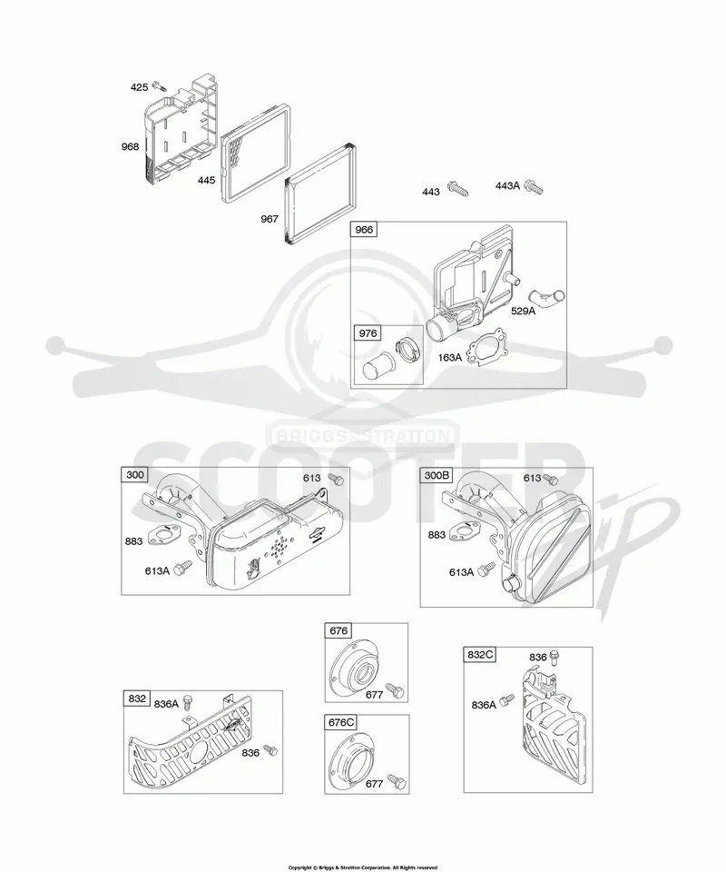 Air Cleaner, Exhaust System