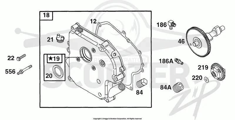 Crankcase Cover, Cam