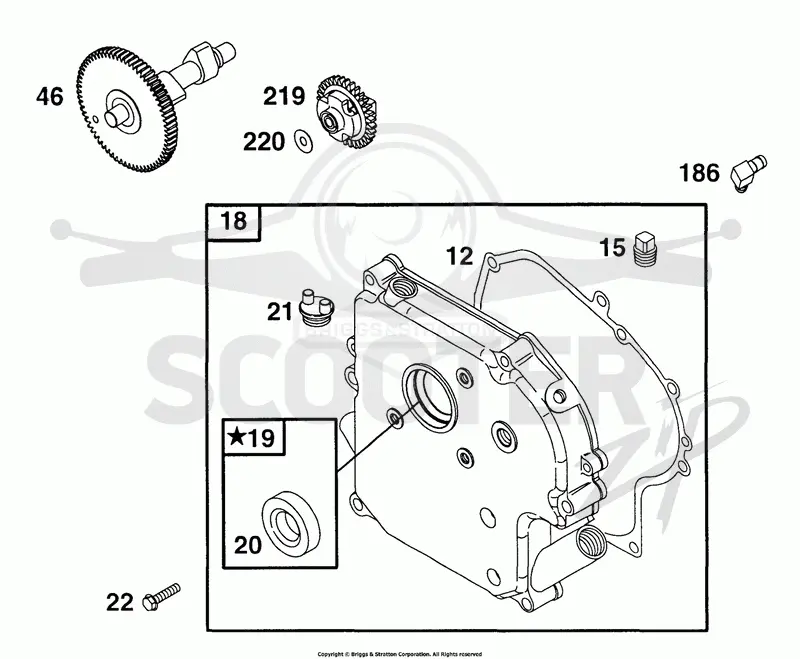 Crankcase Cover, Cam