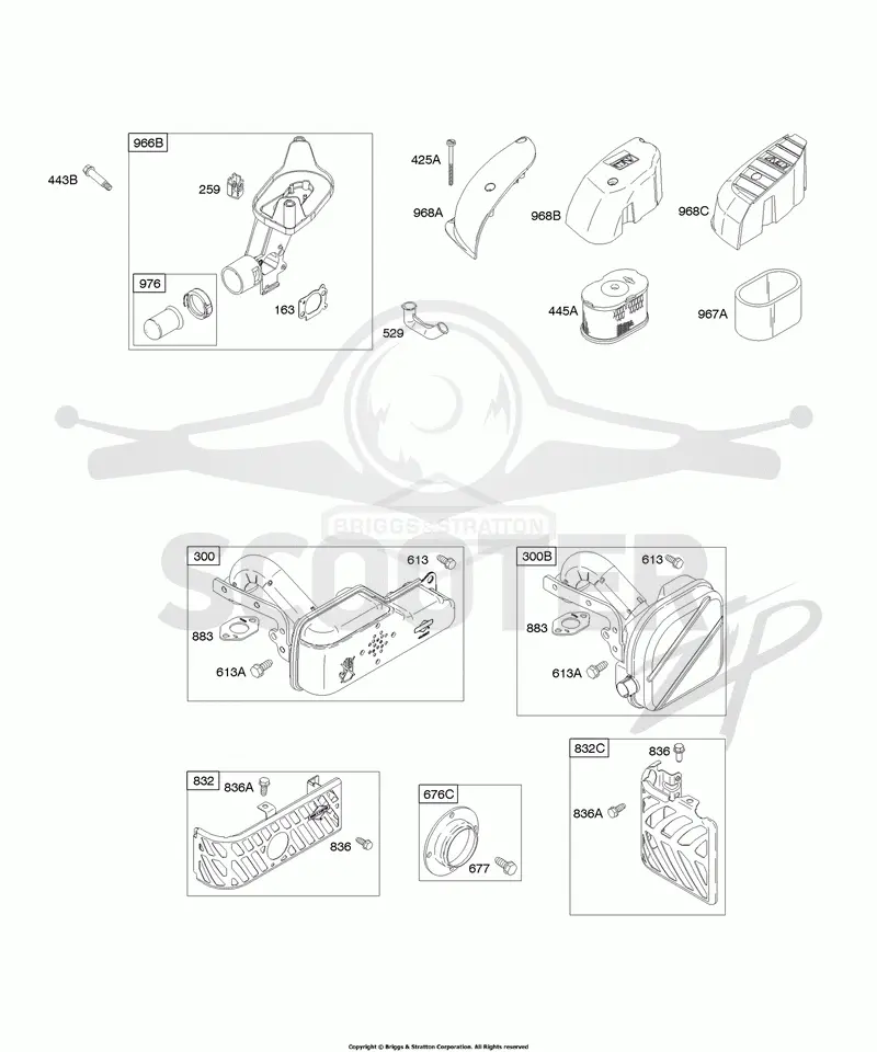 Air Cleaner, Exhaust System