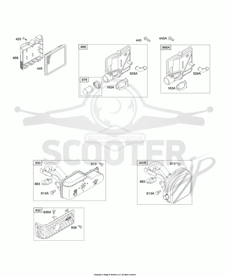 Air Cleaner, Exhaust System