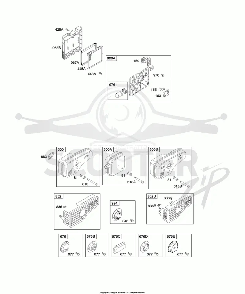 Air Cleaner, Exhaust System