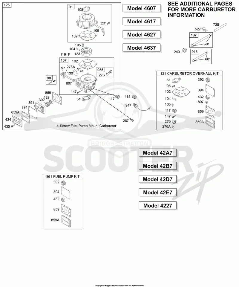 Carburetor 1, Kit/Gasket Sets - Carburetor 1, Kit/Gasket Sets - Fuel Pump 1
