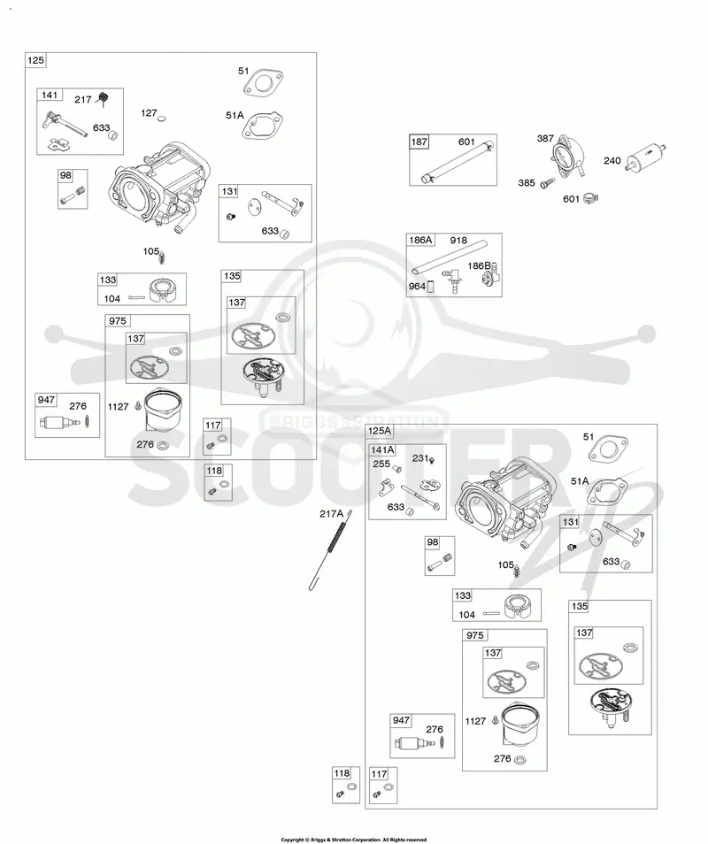 Carburetor, Fuel Pump, Fuel Hose