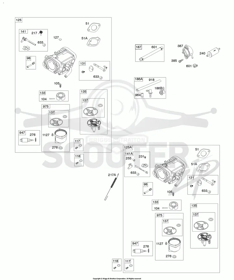 Carburetor, Fuel Pump, Fuel Hose