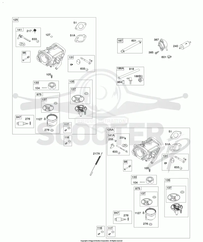 Carburetor, Fuel Pump, Fuel Hose