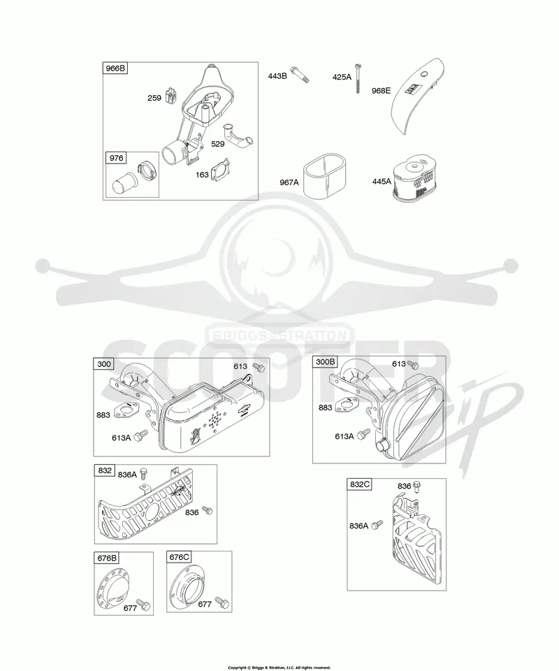 Air Cleaner, Exhaust System