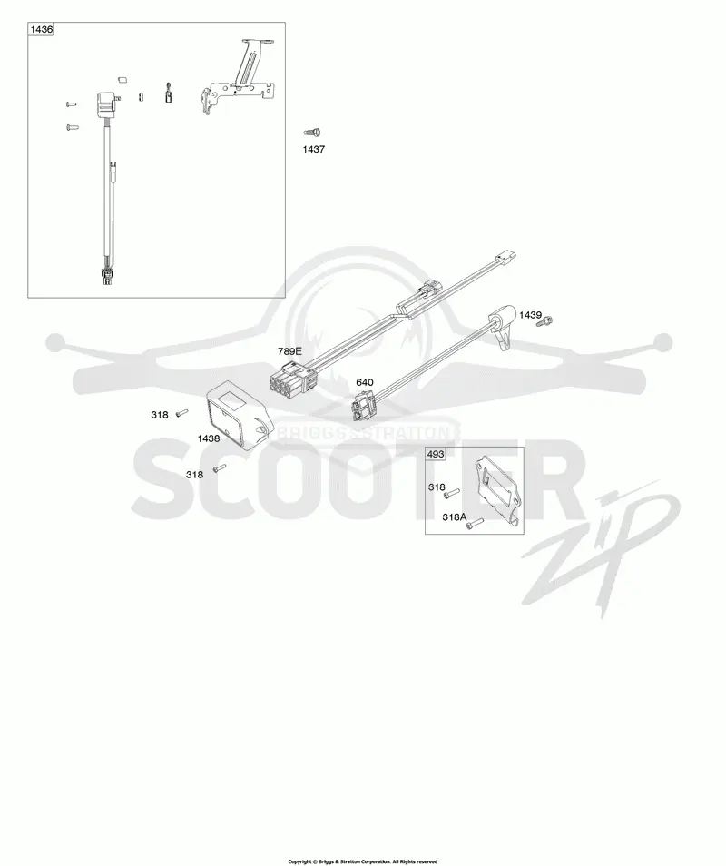 Electronic Fuel Management