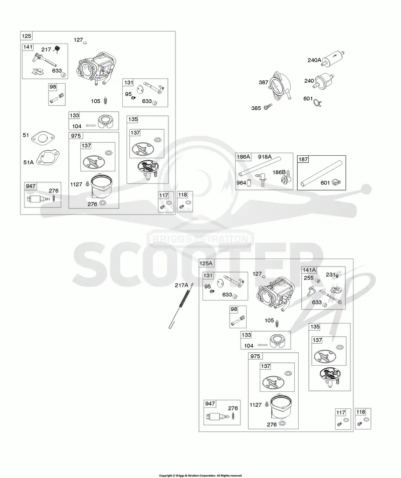 Carburetor, Fuel Filter