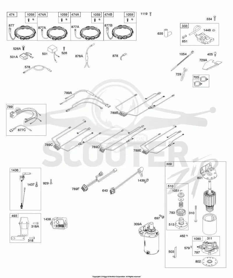 Alternator, Wire Harness, Starter, Ignition, ECU