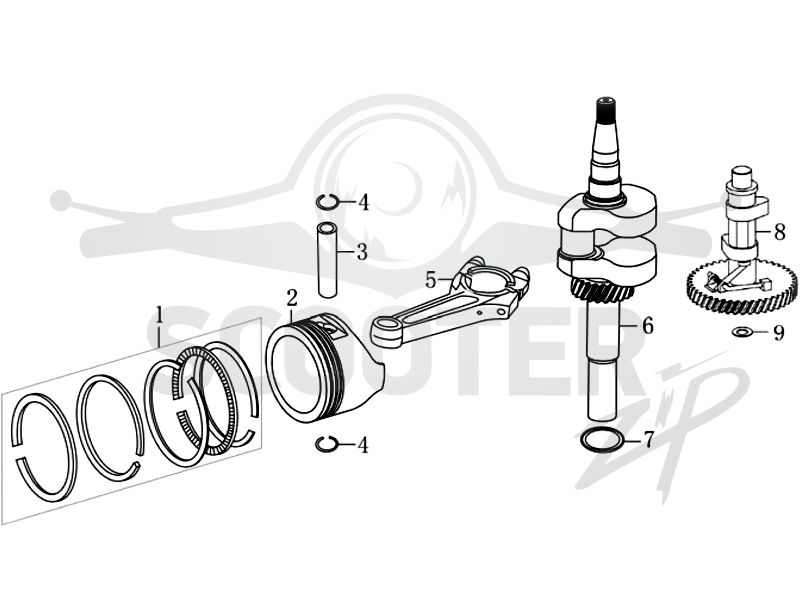 CAIMAN Fasto SD 55CP схема 9