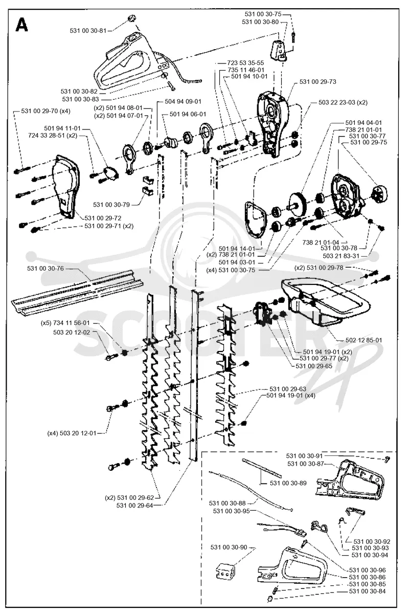 CLUTCH & OIL PUMP
