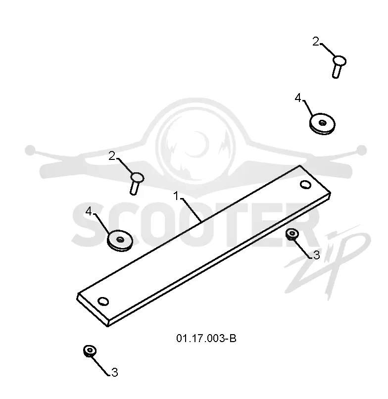 AUGER HOUSING & IMPELLER