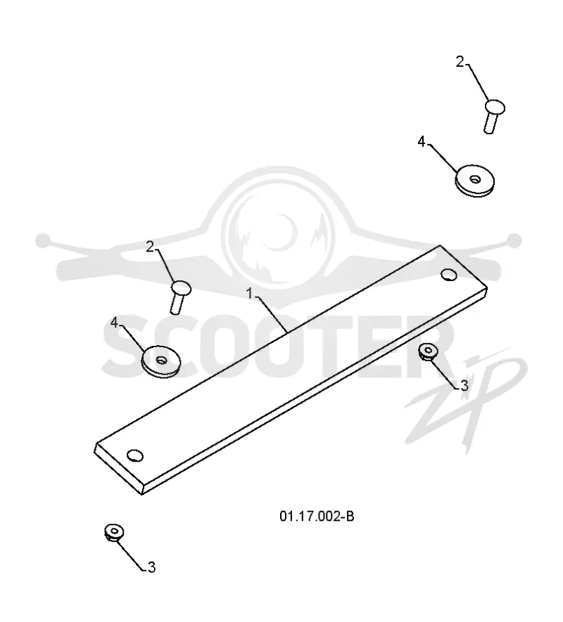 AUGER HOUSING & IMPELLER