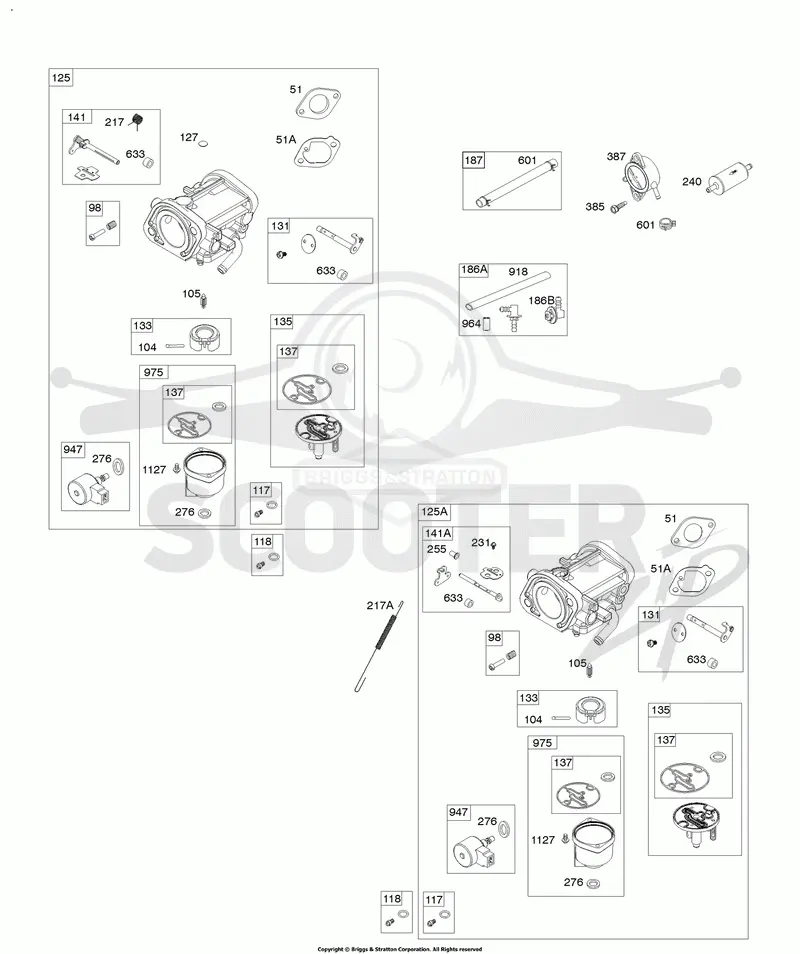 Carburetor, Fuel Pump, Fuel Hose