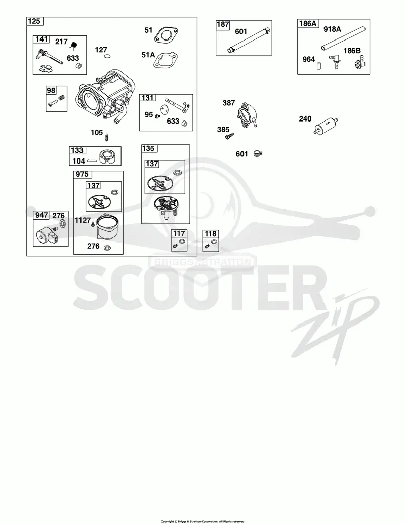 Carburetor, Fuel Pump, Fuel Hose