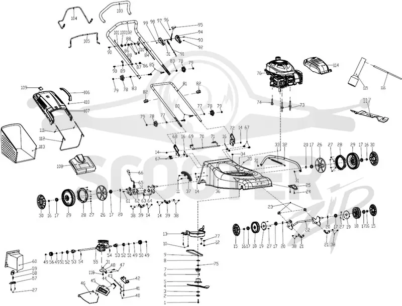 L 50SV 2022