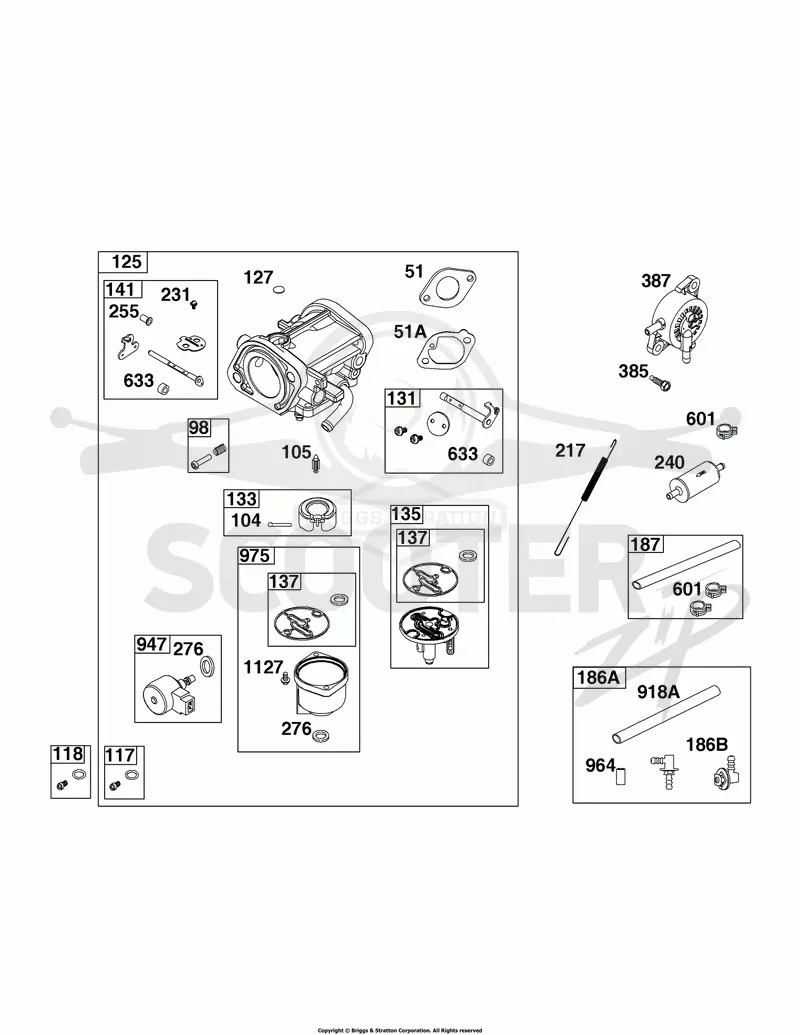 Carburetor, Fuel Filter