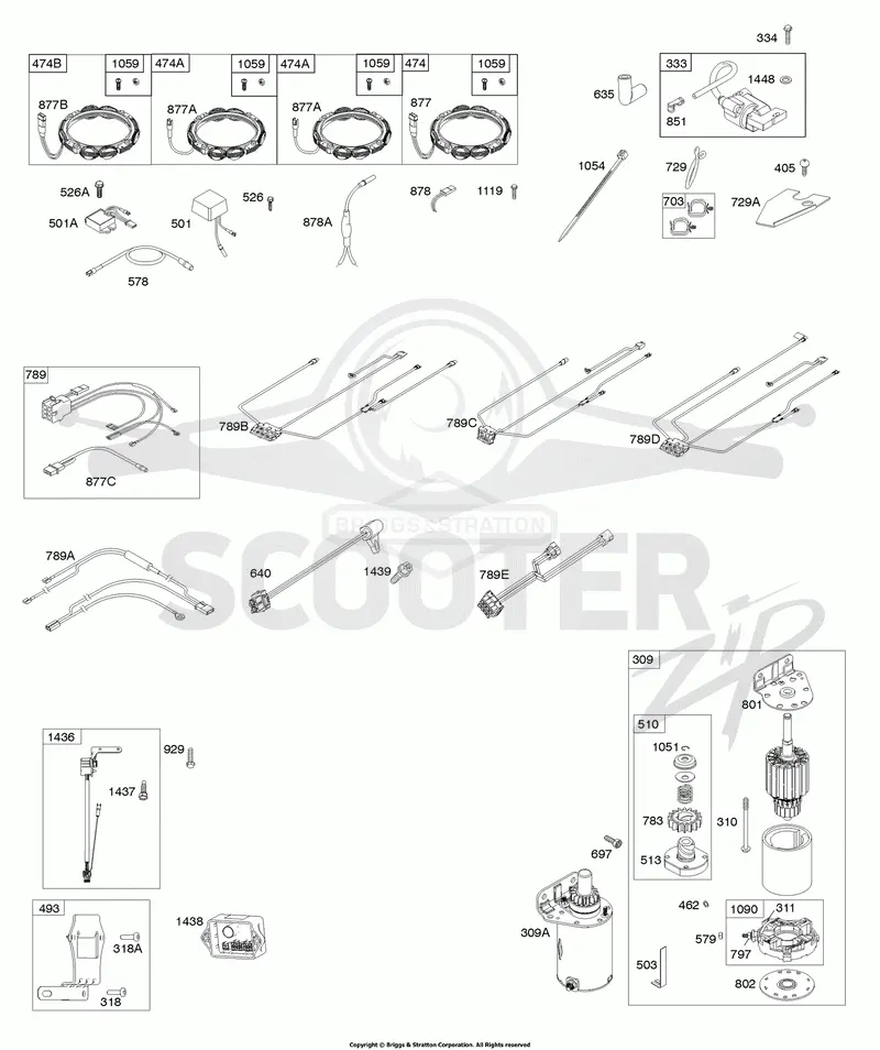 Alternator, Wire Harness, Starter, Ignition, ECU