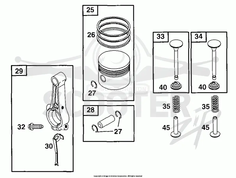 Piston Grp
