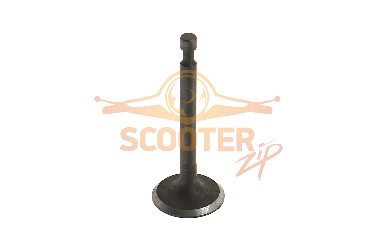 Клапан впускной для снегоуборщика HUTER SGC 4800E, 14411/168F