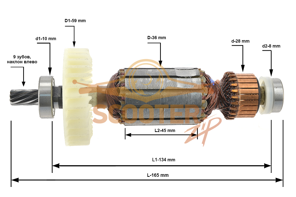 Ротор (Якорь) 220-230В (L-165 мм, D-36 мм, 9 зубов, наклон влево) для пилы торцовочной HiKOKI C 8FSE, 360839E