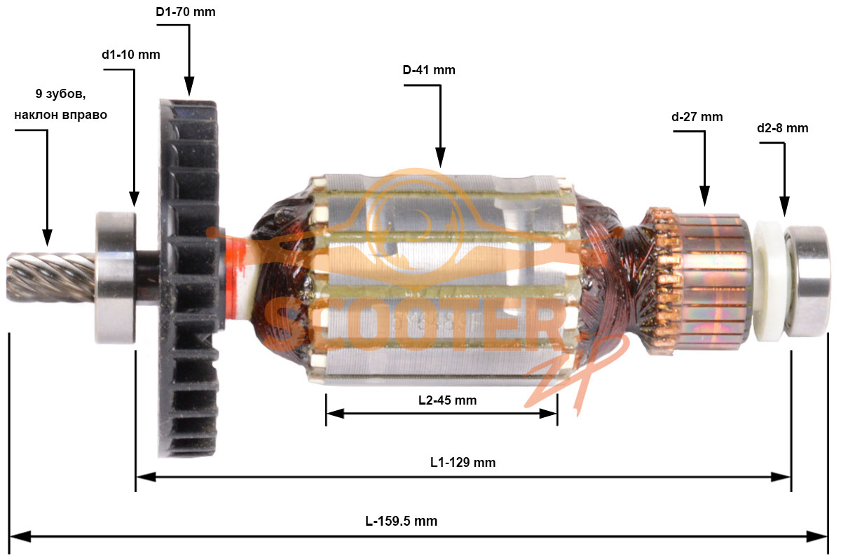 Ротор (Якорь) MAKITA для дисковой пилы 5704R (L-159.5 мм, D-41 мм, 9 зубов, наклон вправо) ОРИГИНАЛ, 516489-7