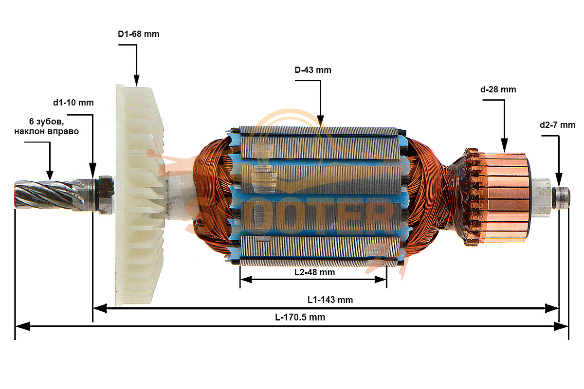 Ротор (Якорь) (L-170.5 мм, D-43 мм, 6 зубов, наклон вправо) для пилы циркулярной (дисковой) погружной ЗУБР ПП-55Н, N000-028-676