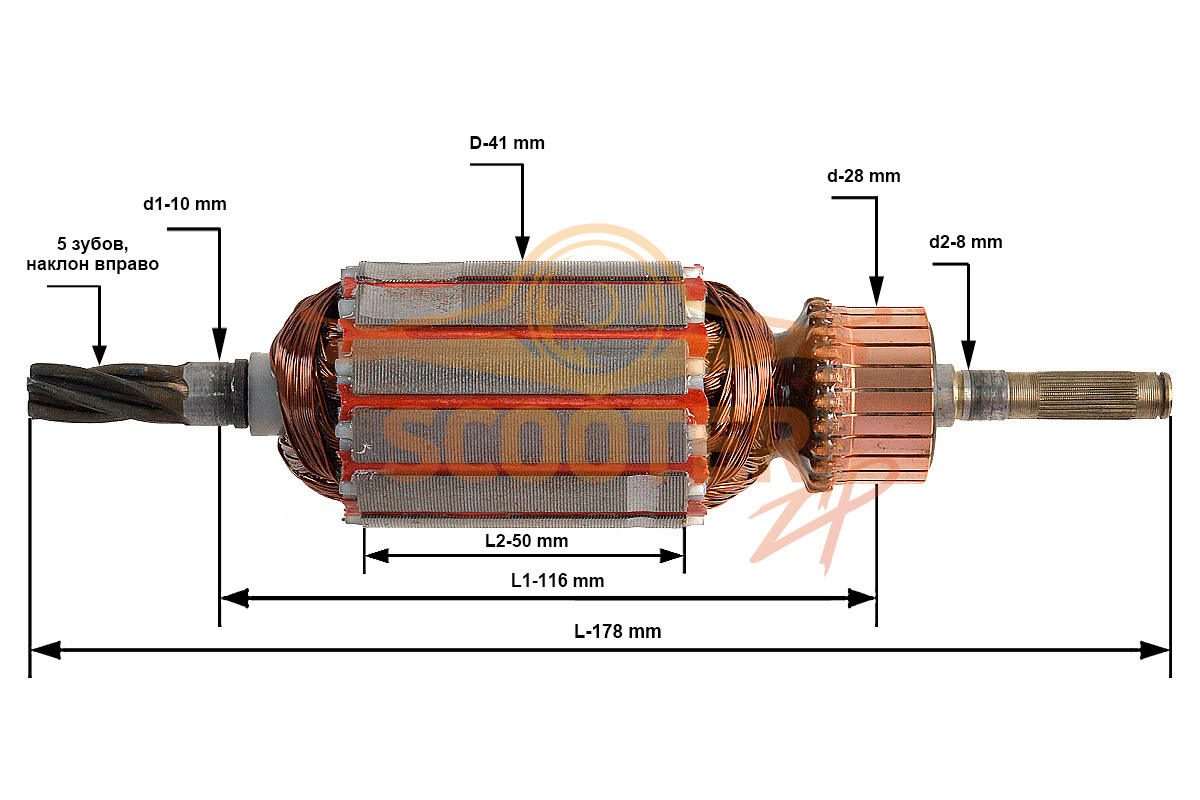 Ротор (Якорь) (L-178 мм, D-41 мм, 5 зубов, наклон вправо) для триммера электрического CHAMPION ET-1211A, D010008